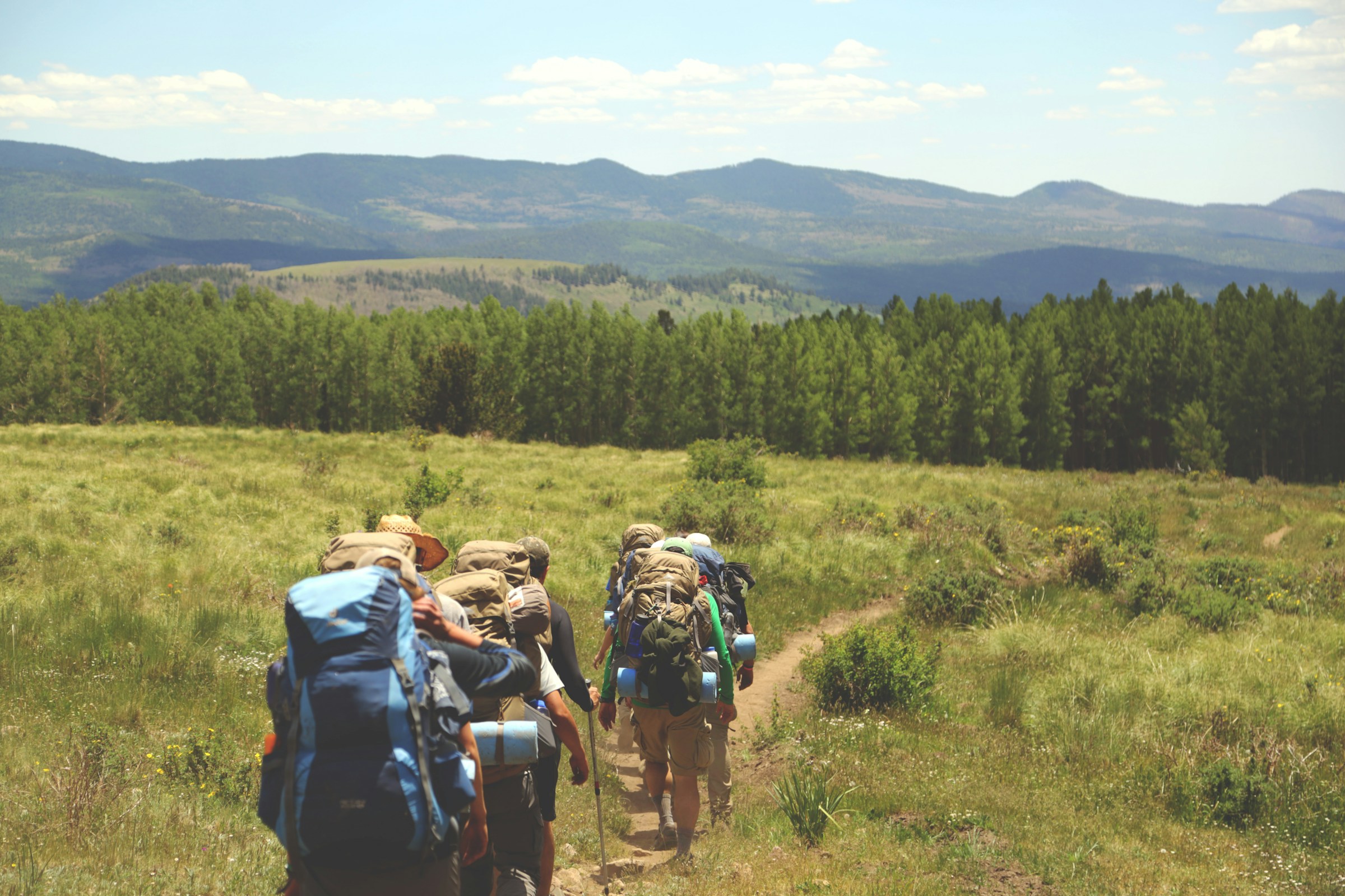 Backpackers following a sunny trail through green meadows