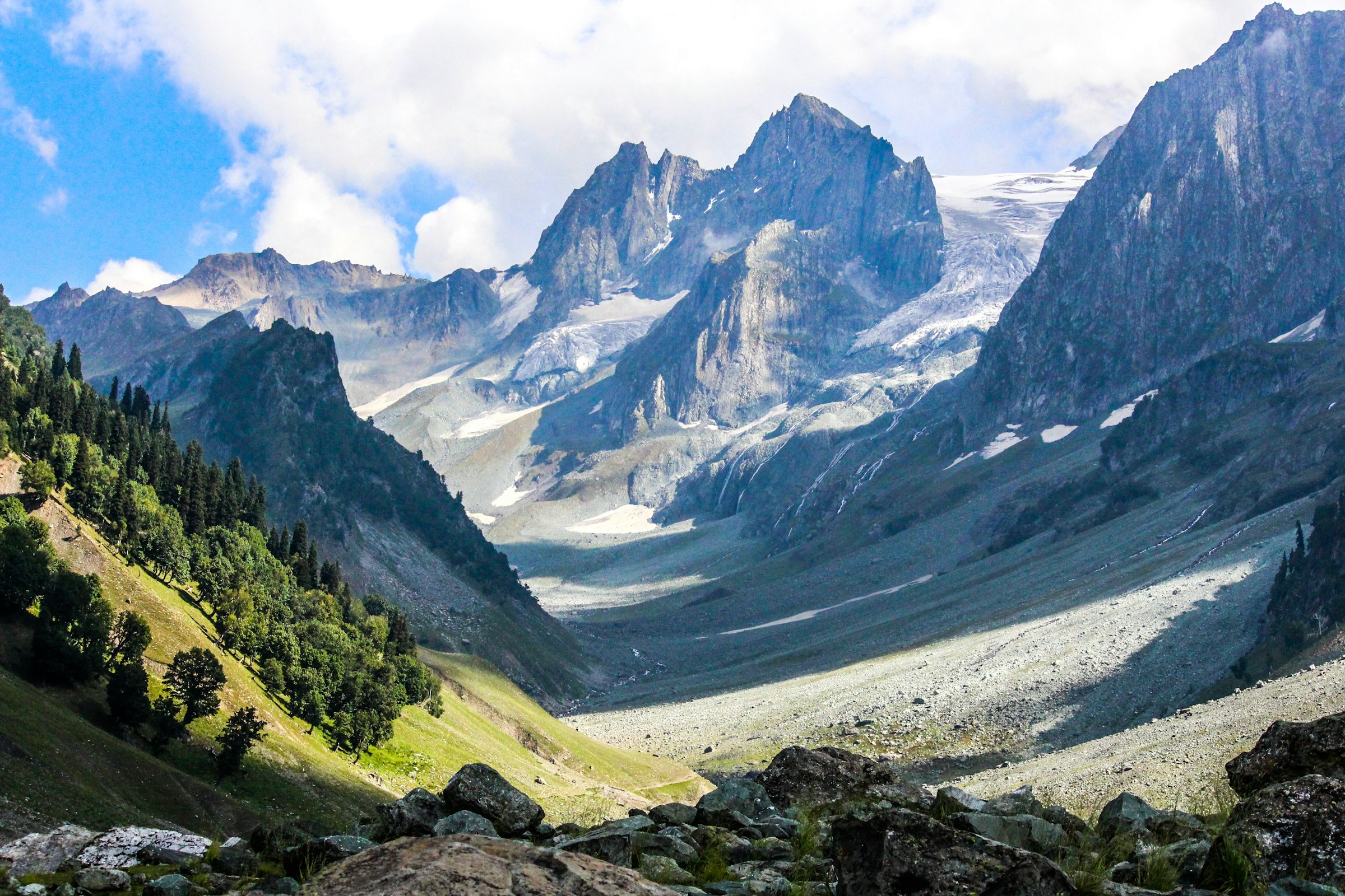 A bright green valley beneath rugged Himalayan peaks