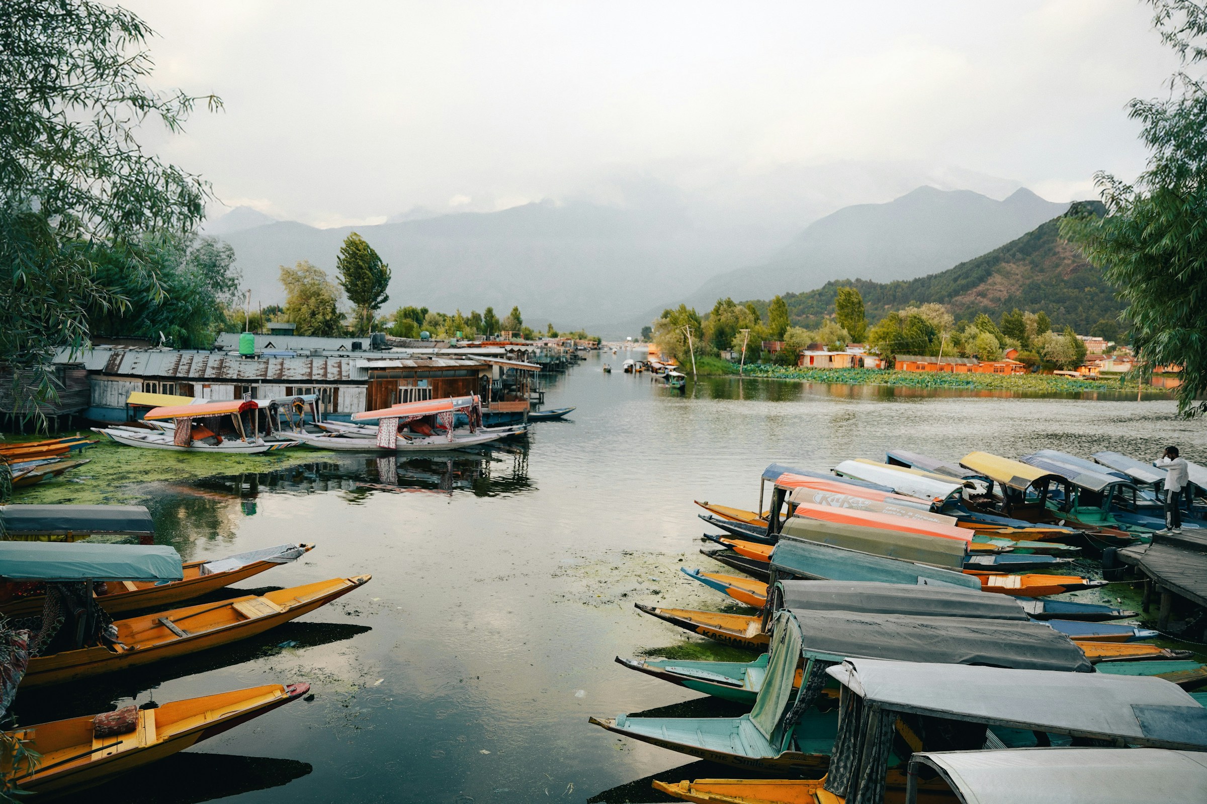 Traditional houseboats along a calm Srinagar waterway