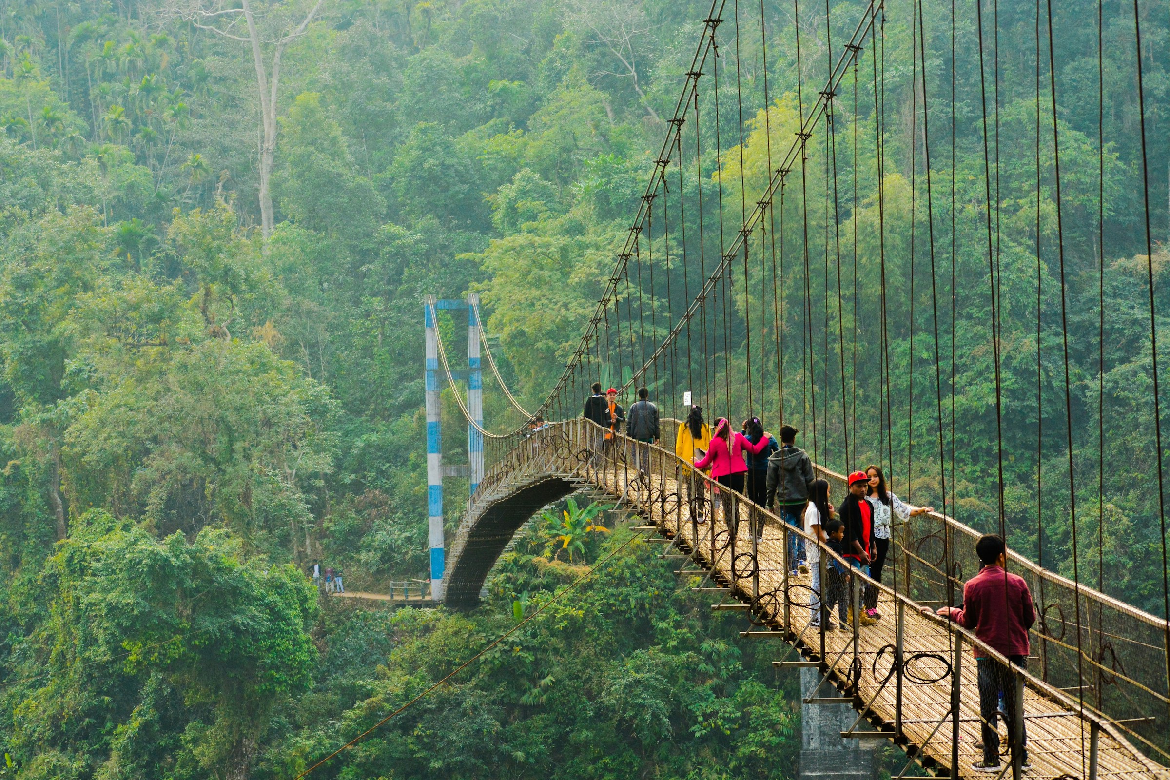 A suspension bridge crossing a lush forest valley in Meghalaya