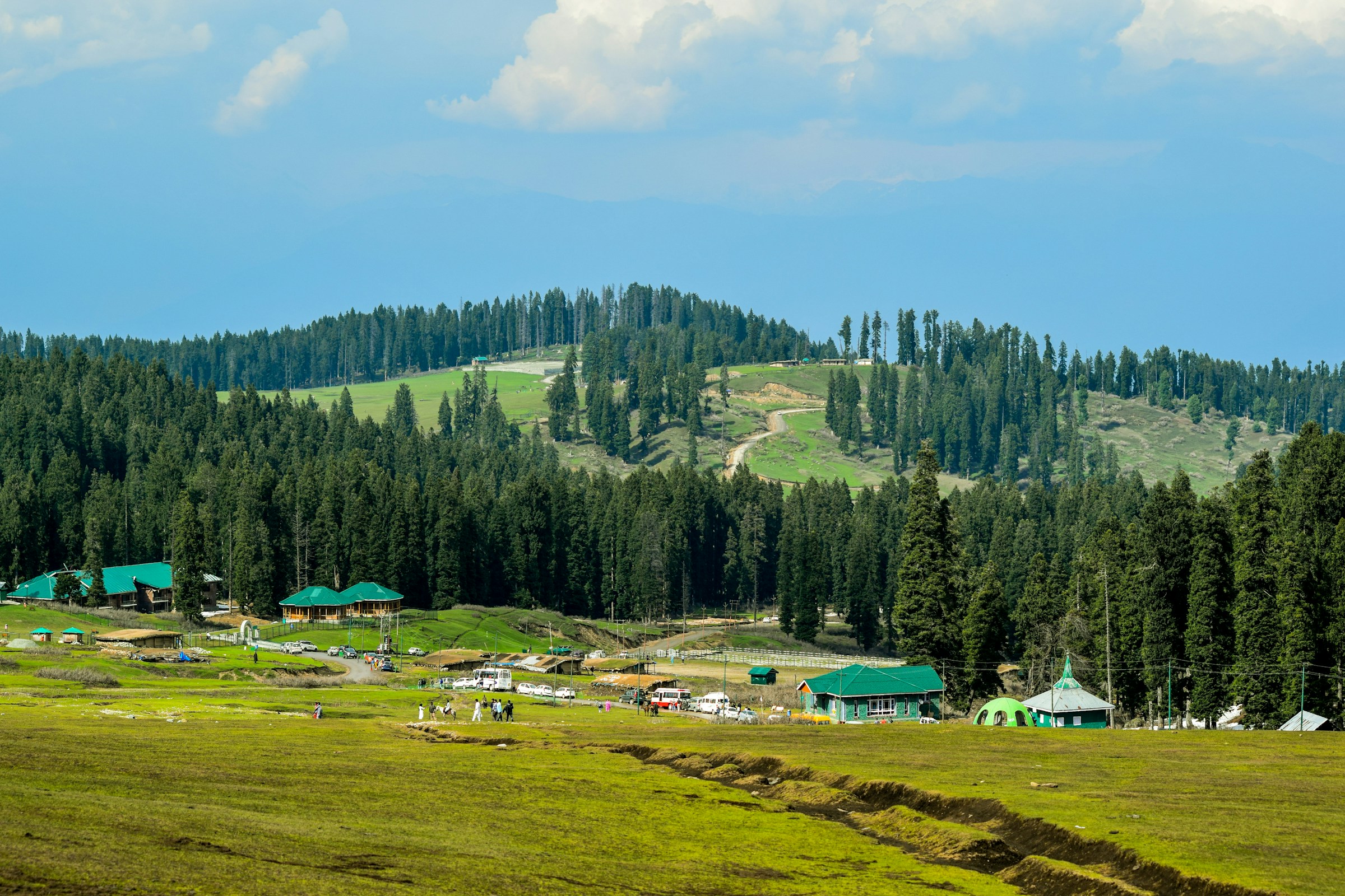 Rolling green meadows and pine forests in Kashmir