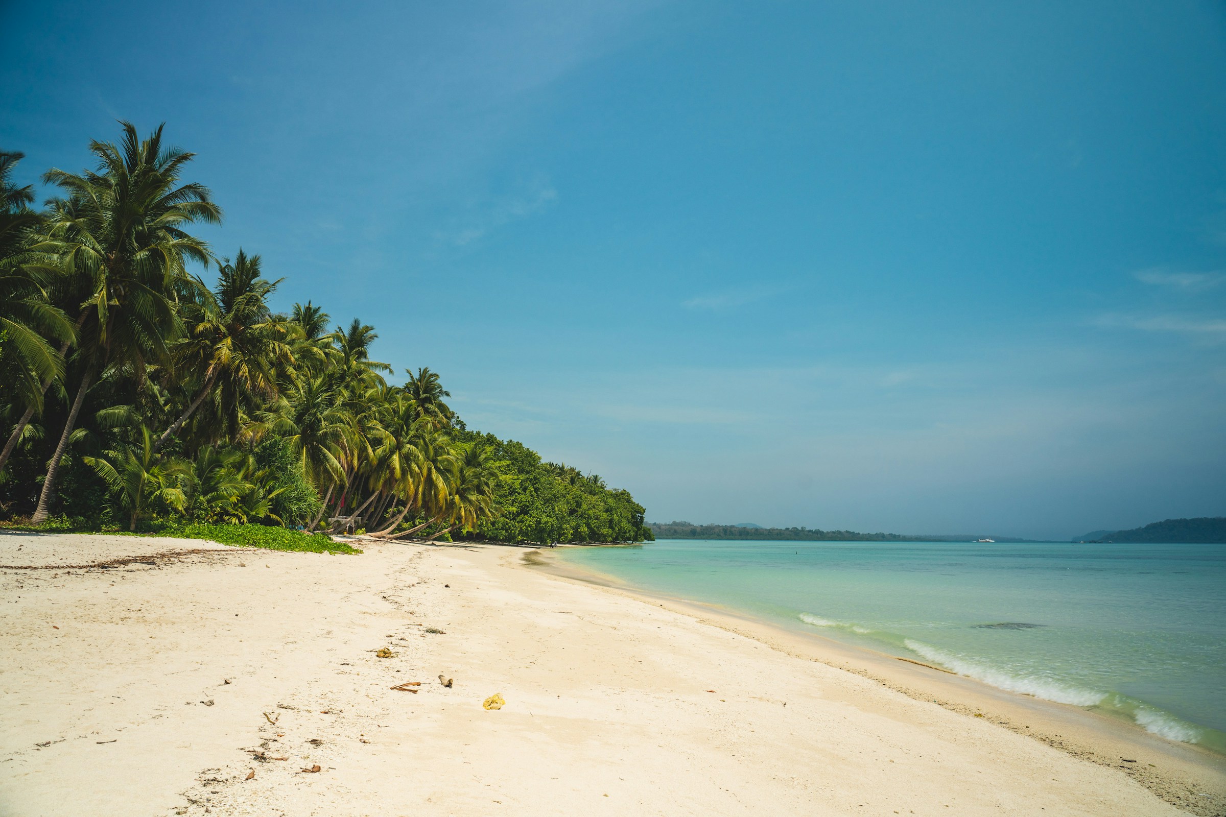 A white-sand beach fringed with palms in the Andaman Islands
