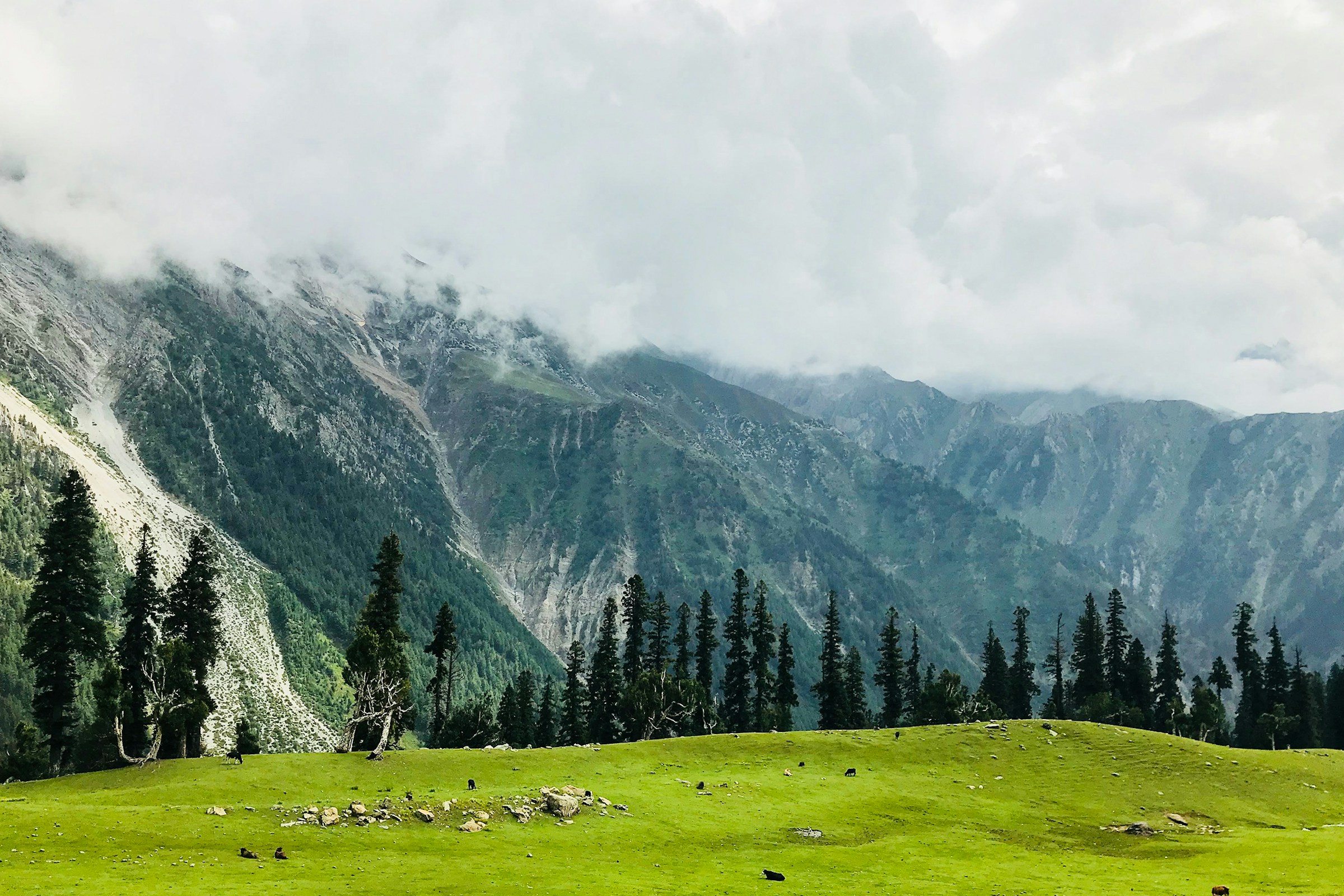 Green meadows beneath the mountain slopes of Kashmir