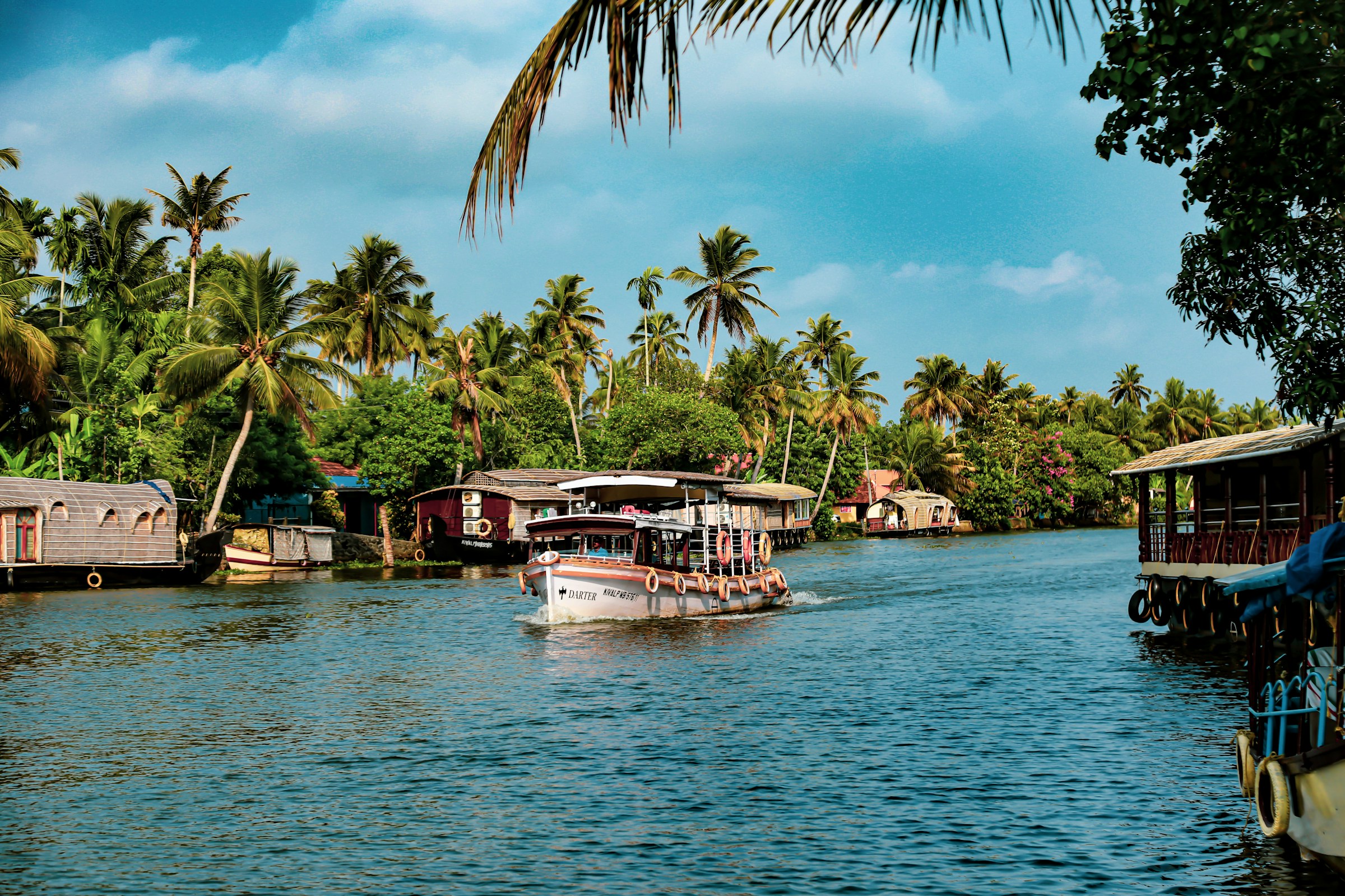 A boat passing palm-lined homes on Kerala's backwaters