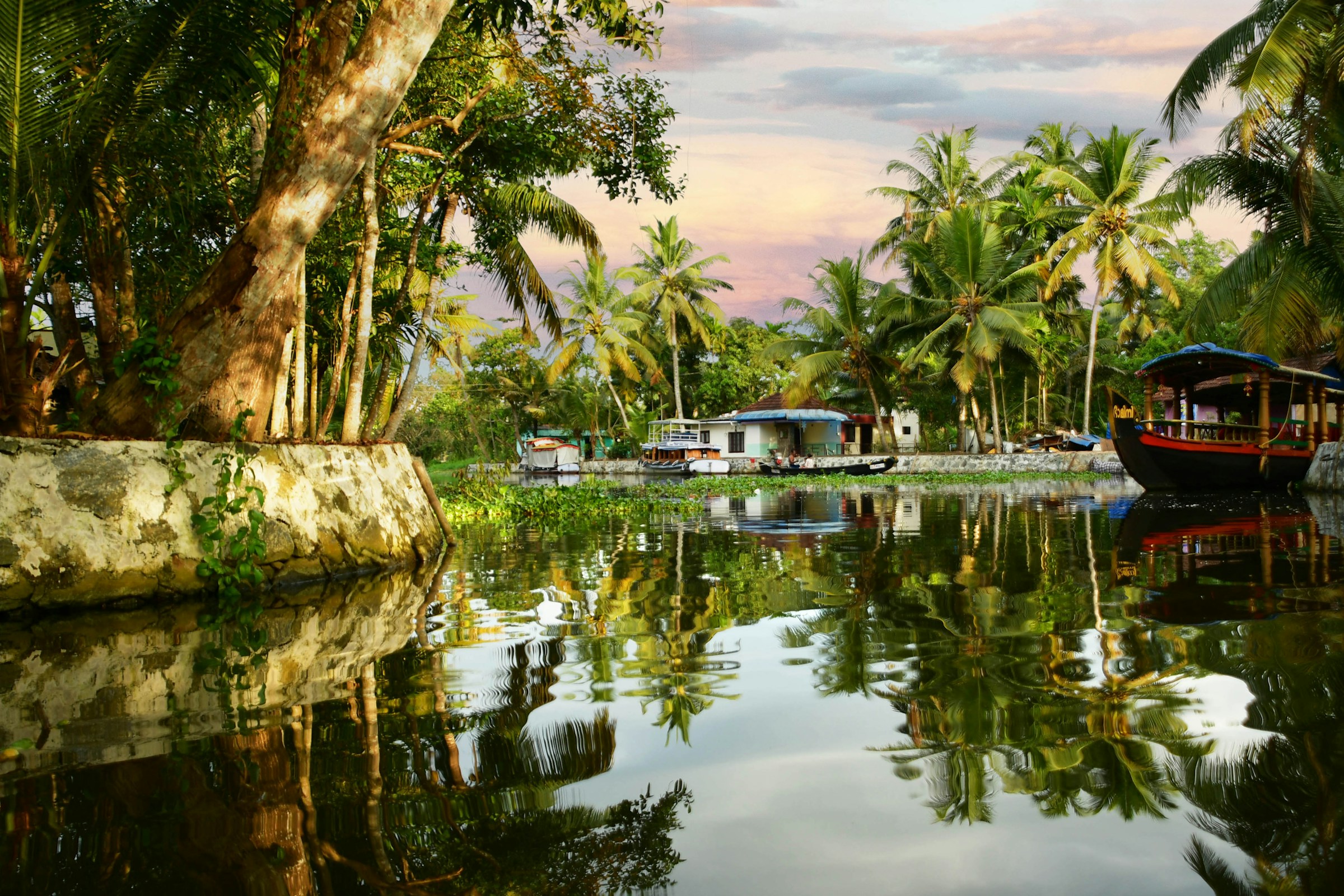 Palm trees reflected in a quiet Kerala canal