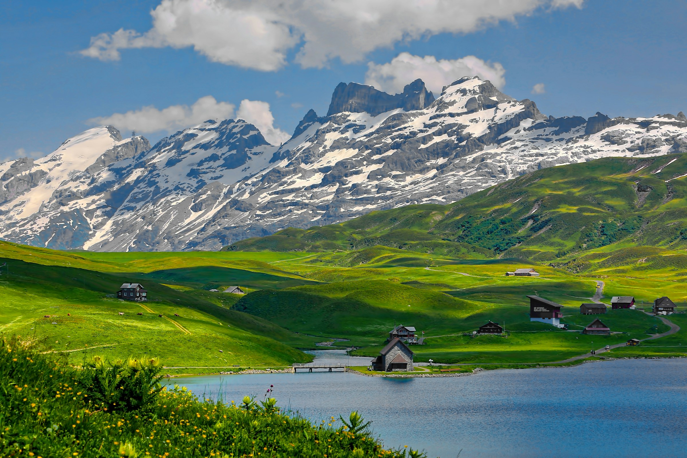 Sunlit alpine meadows and snow-capped mountains in Switzerland